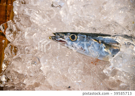 秋刀魚 秋刀魚 39585713