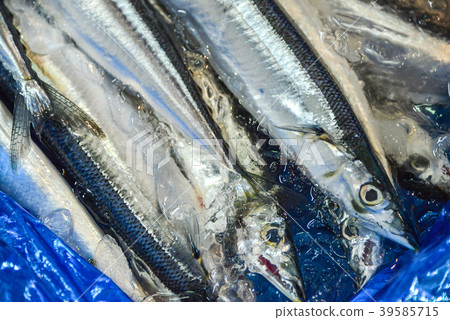 秋刀魚 秋刀魚 39585715
