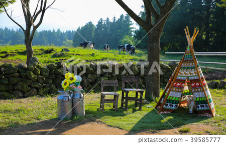 On the ranch On the ranch 39585777