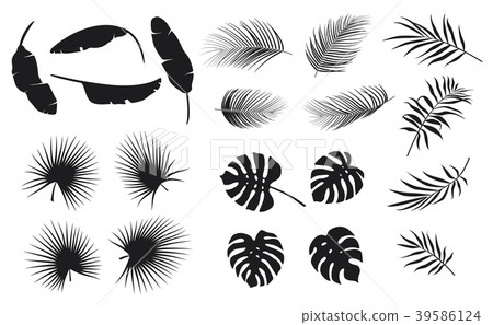 Set of tropical leaves plants on a white backgroun Set of tropical leaves plants on a white backgroun 39586124
