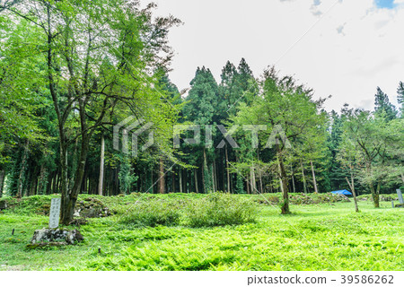 Stone pillars built in the ruins of Sakado Castle in summer 39586262