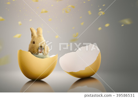 Baby bunny in the broken eggs Baby bunny in the broken eggs 39586531