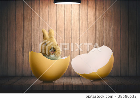 Easter egg with little bunny 39586532