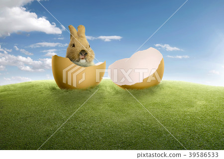 Cracked egg shell with little rabbit on it Cracked egg shell with little rabbit on it 39586533