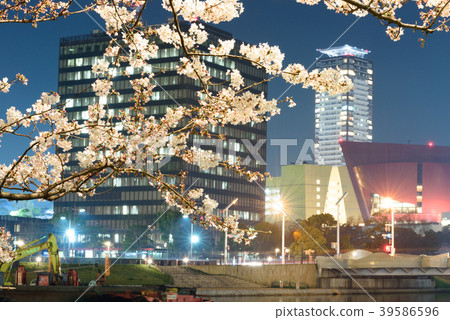 夜櫻花和都市風景[福岡縣北九州市] 39586596