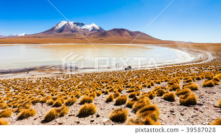 Lake, Bolivia Altiplano 39587028