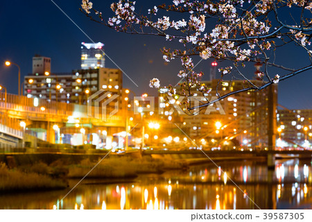 Shichikawa Sakura Dori [福岡北九州市]的夜櫻花 39587305