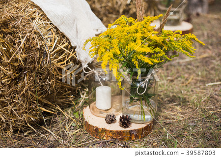 place in old autumn wood for wedding ceremony place in old autumn wood for wedding ceremony 39587803