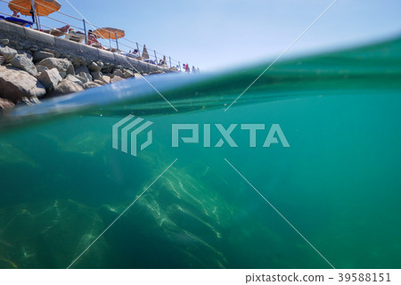 Half and half view, underwater and coastline 39588151