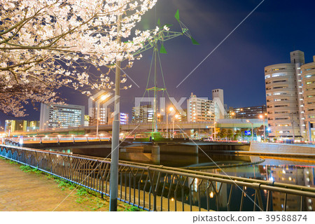 Shichikawa Sakura Dori [福岡北九州市]的夜櫻花 39588874