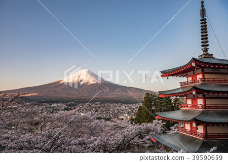 Yamanashi prefecture · Early morning Shinagayama Asama Park · Spring 39590659
