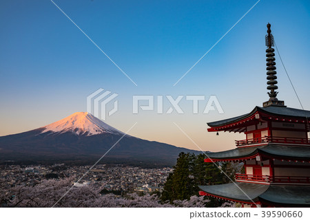 Yamanashi prefecture · Early morning Shinagayama Asama Park · Spring Yamanashi prefecture · Early morning Shinagayama Asama Park · Spring 39590660