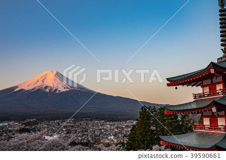 Yamanashi prefecture · Early morning Shinagayama Asama Park · Spring 39590661