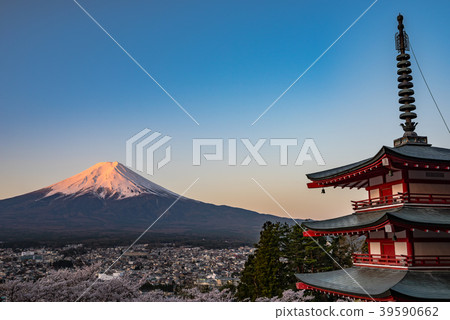 山梨縣·清晨Shinagayama淺間公園·春天 山梨縣·清晨Shinagayama淺間公園·春天 39590662