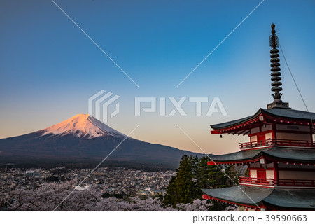 山梨縣·清晨Shinagayama淺間公園·春天 山梨縣·清晨Shinagayama淺間公園·春天 39590663