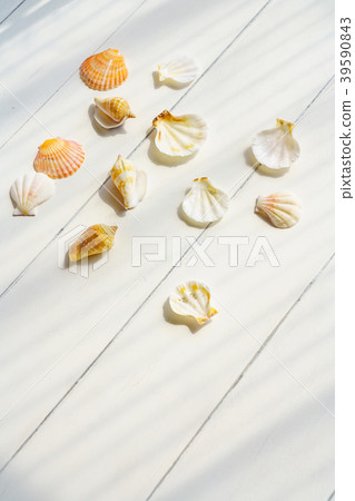 Broad things on the beach Broad things on the beach 39590843
