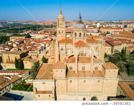 Salamanca Cathedral in Salamanca, Spain 39591381