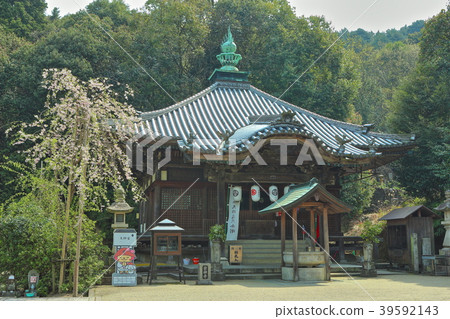 Maejin Temple Daishido Maejin Temple Daishido 39592143