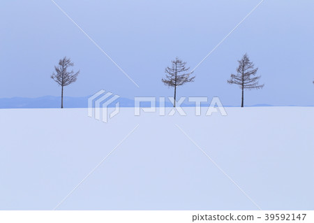 奧林匹克城山童話故事北海道 奧林匹克城山童話故事北海道 39592147