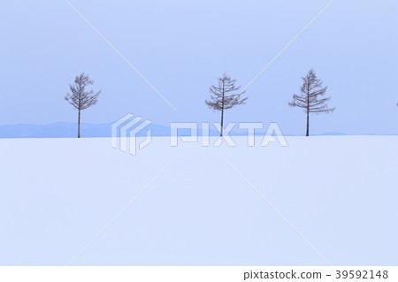 奧林匹克城山童話故事北海道 奧林匹克城山童話故事北海道 39592148