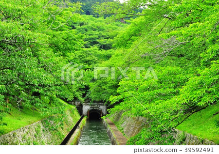 Otsu City Lake Biwa Canal Tunnel and the fresh green of cherry blossoms 39592491
