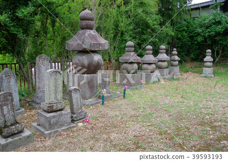 鎌倉奧林匹克大廈 39593193