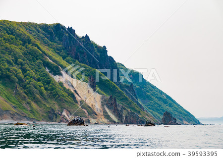 Rock surface of Otamoy coast Otaru, Hokkaido 39593395