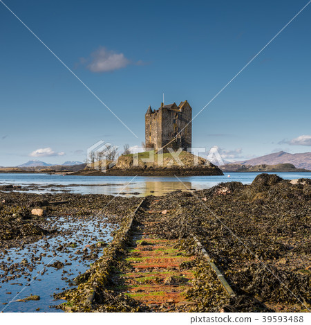 Castle Stalker in Scottish highlands Castle Stalker in Scottish highlands 39593488