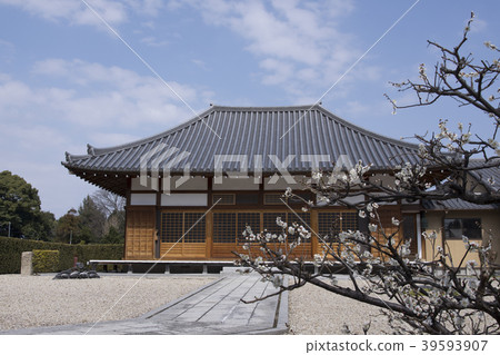 One plum and temple main temple One plum and temple main temple 39593907