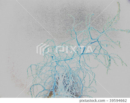 abstract white patchwork dead tree spray of water abstract white patchwork dead tree spray of water 39594662