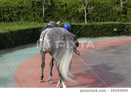 賽馬 39594994