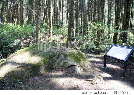 Saigo Takamori Ozishi Saigo Takamori Ozishi 39595753