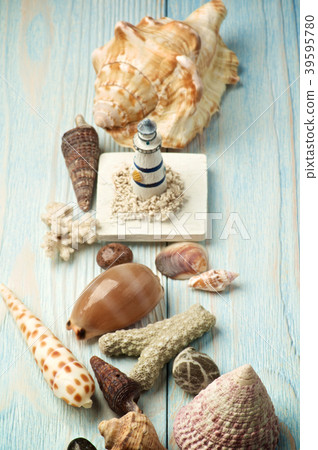 Frame of Shells and Chalk 39595780