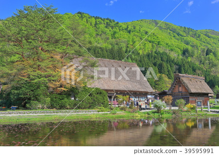 Fresh green Shirakawa go Wada family Fresh green Shirakawa go Wada family 39595991