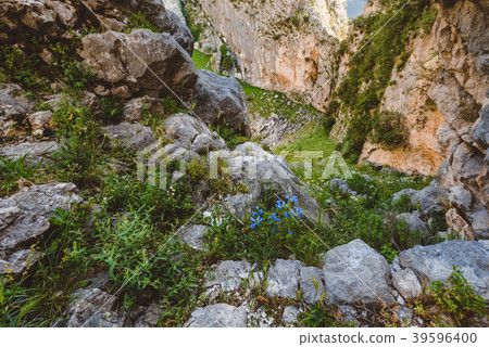 Mountain Canyon in Montenegro Mountain Canyon in Montenegro 39596400