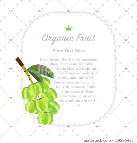 Watercolor nature organic fruit memo frame 39596453