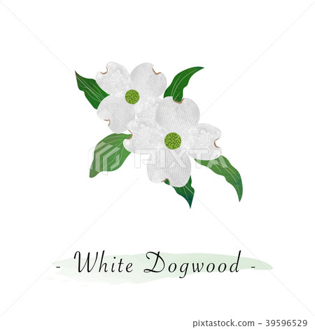 Watercolor vector botanic garden flower plant 39596529