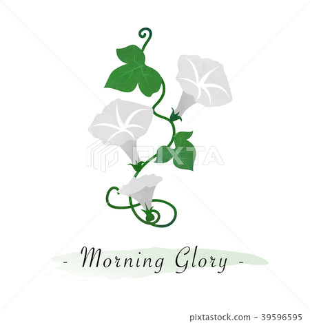 Watercolor vector botanic garden flower plant 39596595