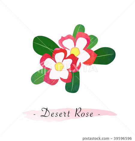Watercolor vector botanic garden flower plant 39596596