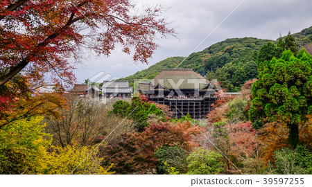 Kiyomizu Temple at autumn in Kyoto, Japan Kiyomizu Temple at autumn in Kyoto, Japan 39597255