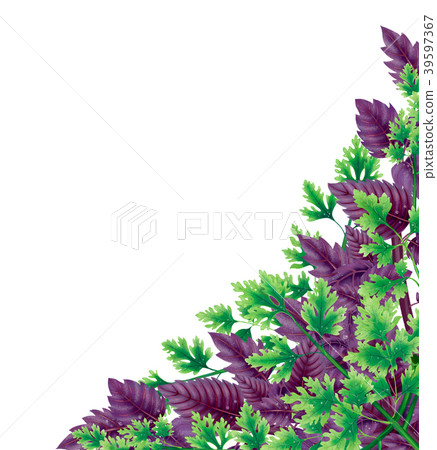 Decor for corner of leaves Basil and parsley 39597367