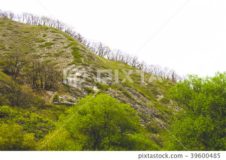 Hills covered with greenery with the exit of 39600485