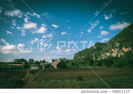 古巴的日常生活 39601137