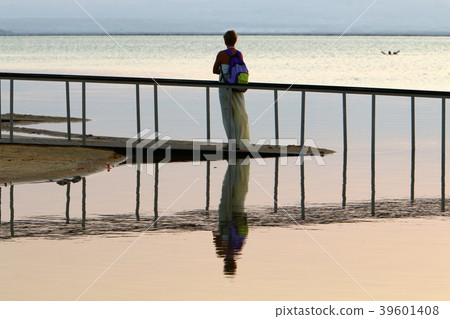 shore of the Dead Sea - Salt Sea 39601408