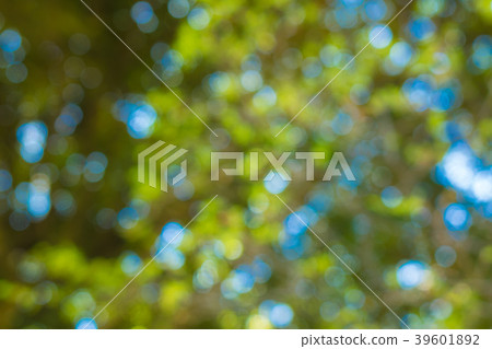 散景材料 散景材料 39601892