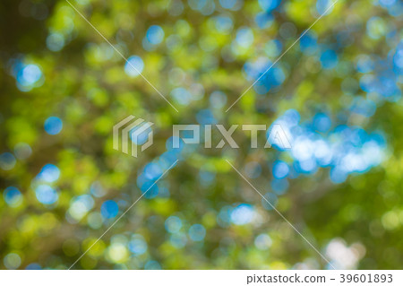 Bokeh material 39601893