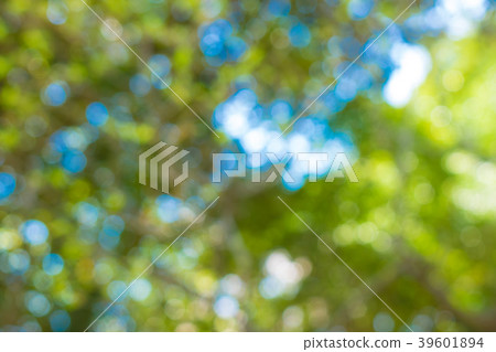 散景材料 散景材料 39601894