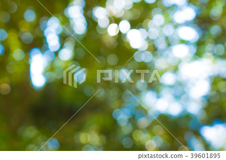散景材料 散景材料 39601895