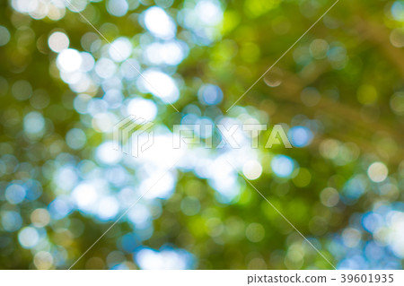 散景材料 散景材料 39601935