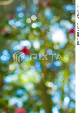 散景材料 散景材料 39601958